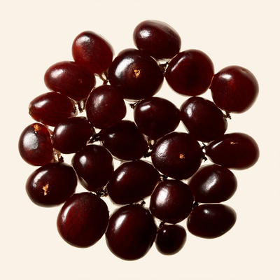 Tamarind Seed Polysaccharide